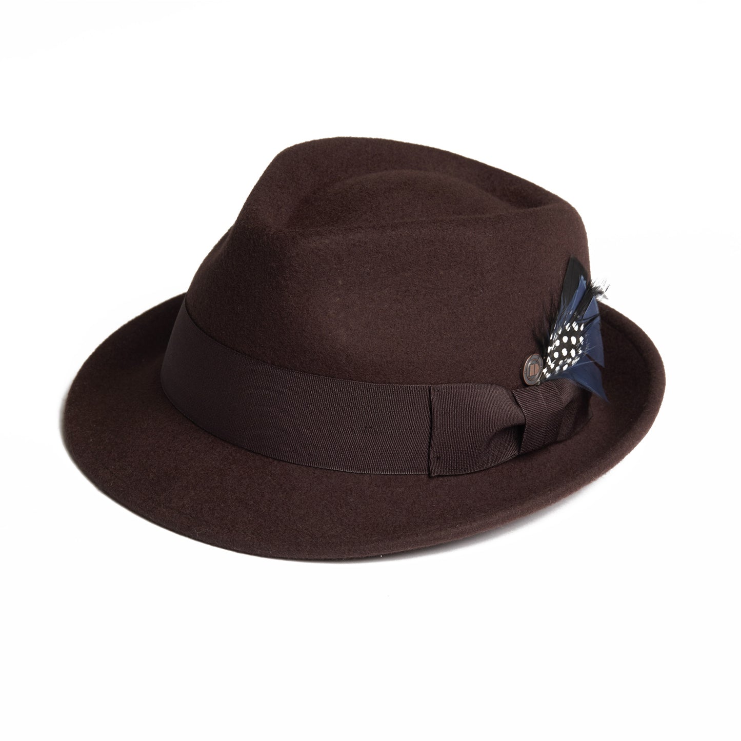 DARWIN - Brown